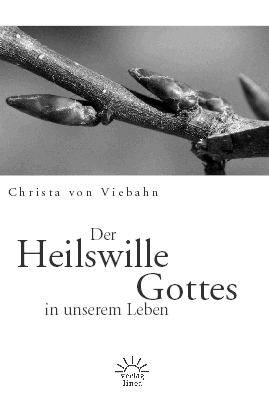 Cover Heilswille